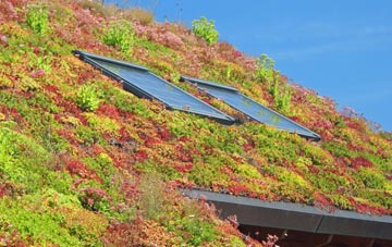 Market Rasen living roof systems