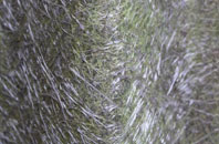 Market Rasen fibreglass roof work